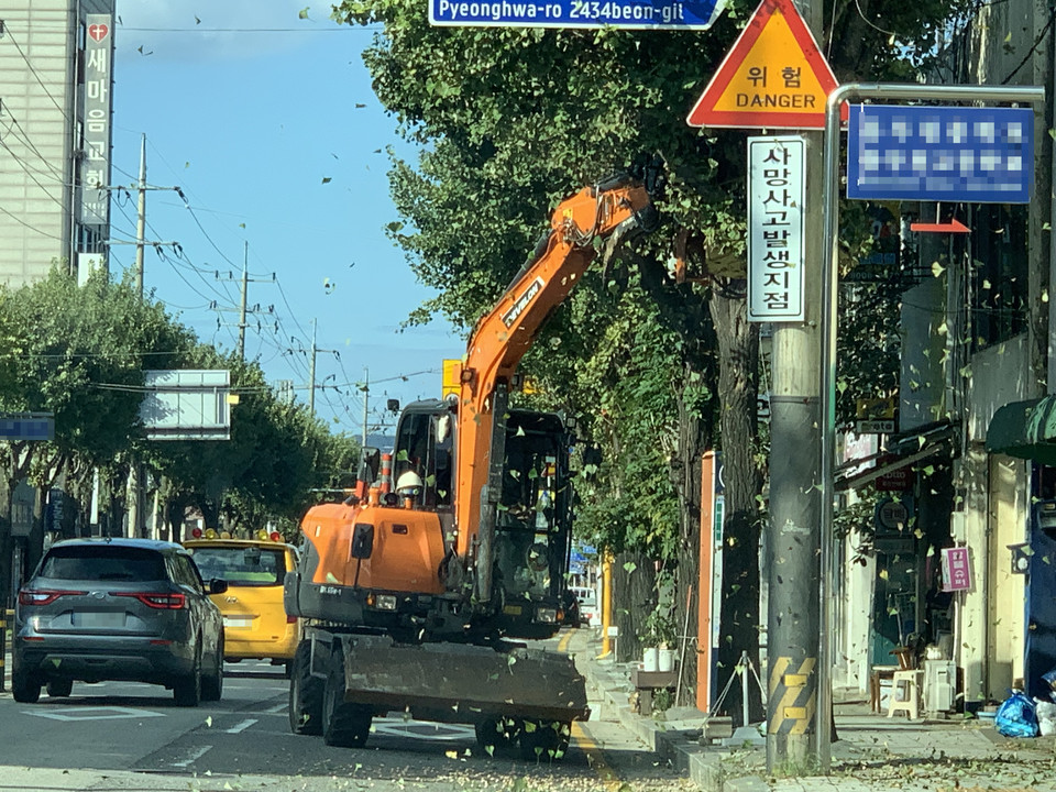 27일 오후 3시30분께 동두천시 평화로변 가로수 은행나무 열매를 중장비가 동원돼 털어내고 있다. (사진=오기춘 기자)