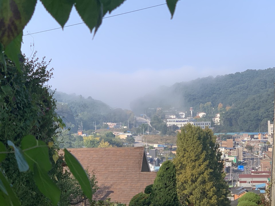 11일 오전 8시50분께 동두천시 턱거리고개에 겨울을 재촉하는 안개가 잔뜩 껴 있다. (사진=오기춘 기자)