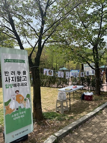 부평구, 유기견 입양문화 조성을 위한 ‘유기견과 함께하는 산책행사’ 개최