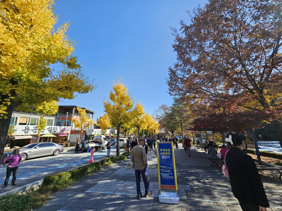 31일 오후 2시25분께 평일임에도 불구 양평 용문산 입구가 많은 행락객들로 붐비고 있다.