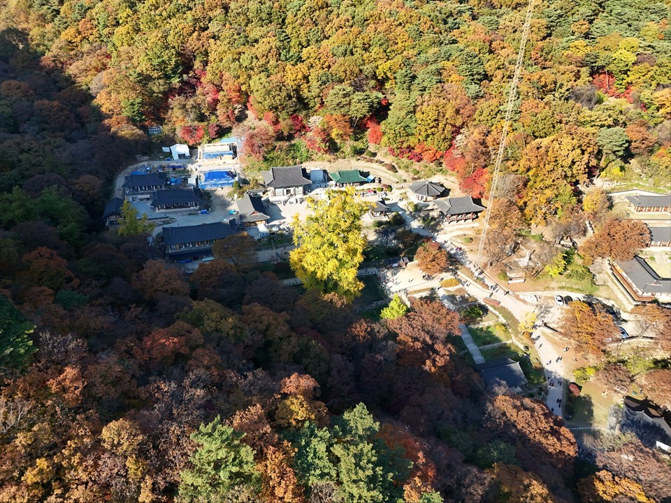10월의 마지막 날인 31일 오후 3시10분께 변함없는 가을을 맞는 천년고찰 양평 용문사의 은행나무 잎들이 노랗게 물들어 가고 있어 그 모습이 장관이다. (사진=김광섭 기자)