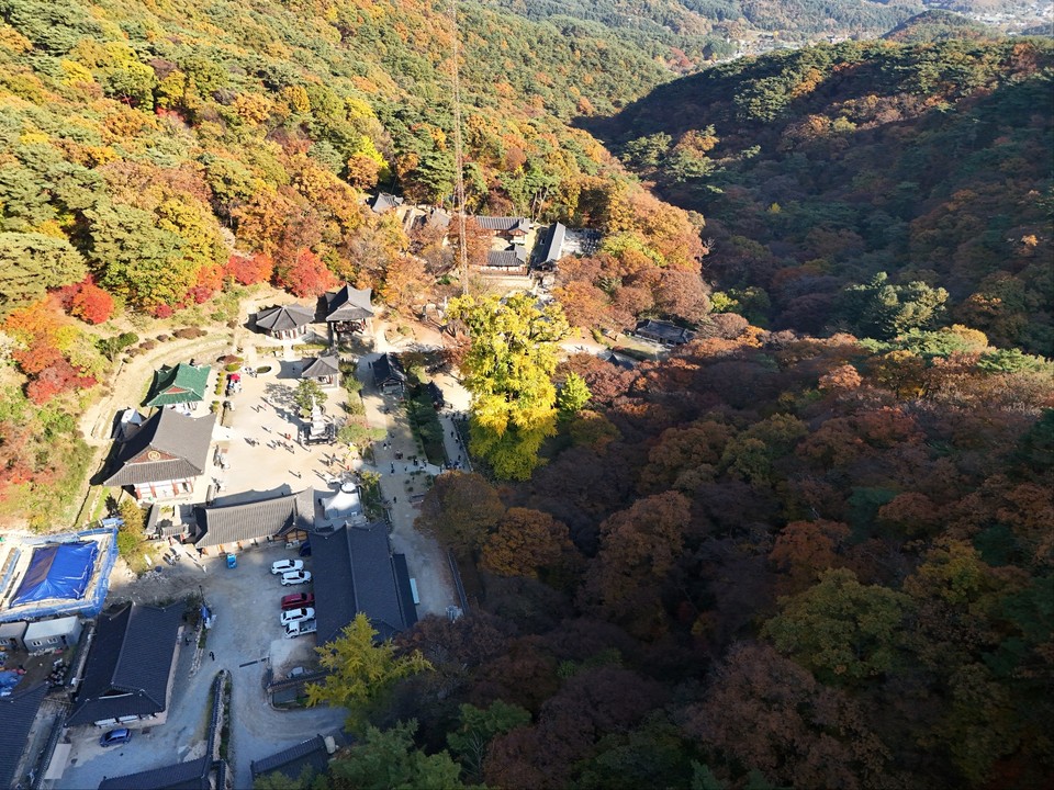 10월의 마지막 날인 31일 오후 3시10분께 변함없는 가을을 맞는 천년고찰 양평 용문사의 은행나무 잎들이 노랗게 물들어 가고 있어 그 모습이 장관이다. (사진=김광섭 기자)