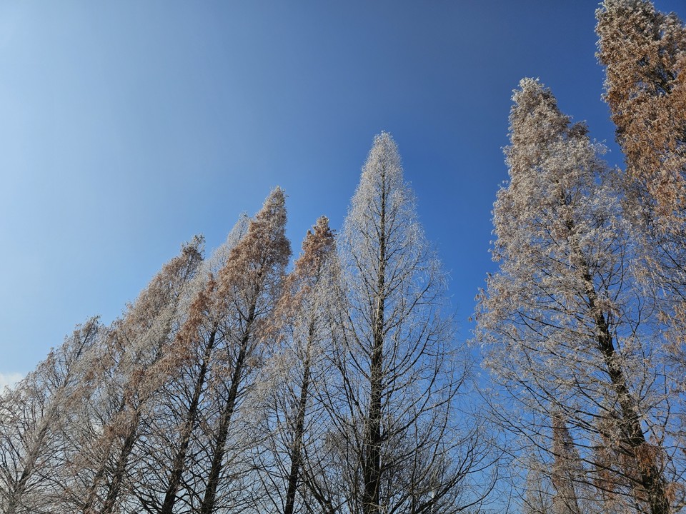 ​​​​​​​30일 토요일 수도권(경기·인천) 지역은 아침까지 짙은 안개가 끼겠고, 대체로 맑다가 오후부터 구름이 많겠다. (사진=중앙신문DB)