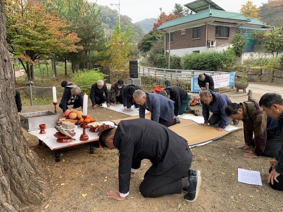 1일 오전 11시께 동두천시 사당골 천년수령 은행나무(지행동 213) 행단제가 불현동장 및 마을 어르신 20여 명이 참석한 가운데 개최됐다. (사진=오기춘 기자)