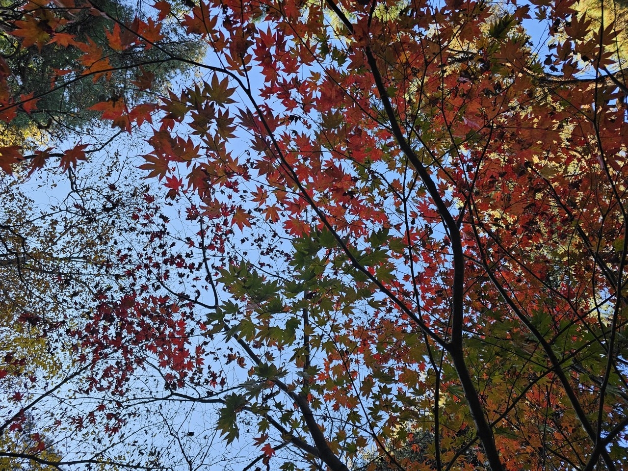 ​​​​​​​2일 토요일 경기·인천지역은 낮과 밤의 기온차가 크겠고, 가끔 구름이 많겠다.(사진=중앙신문DB)