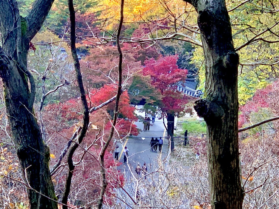 2일 오후 4시10분께 동두천 소요산에 ‘단풍 절정’을 만끽하려는 가족, 연인 등 많은 방문객으로 붐비고 있다. (사진=오기춘 기자)