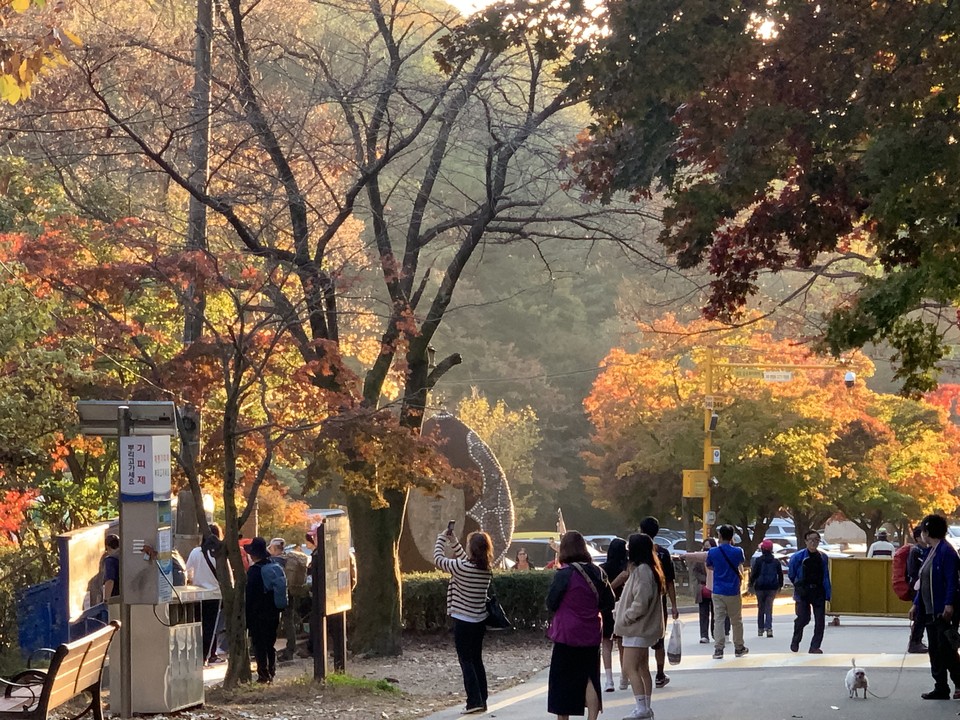 2일 오후 4시10분께 동두천 소요산에 ‘단풍 절정’을 만끽하려는 가족, 연인 등 많은 방문객으로 붐비고 있다. (사진=오기춘 기자)