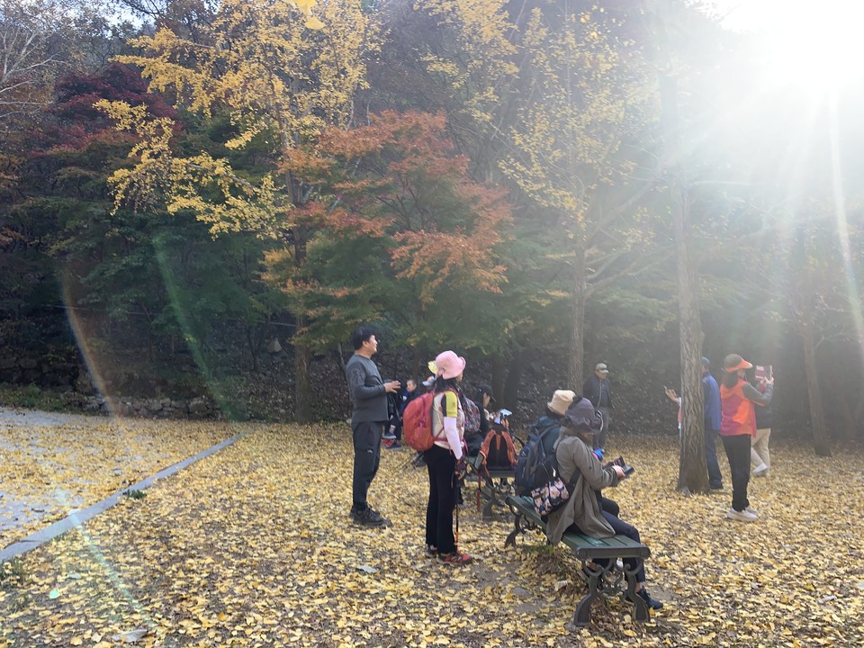 2일 오후 4시10분께 동두천 소요산에 ‘단풍 절정’을 만끽하려는 가족, 연인 등 많은 방문객으로 붐비고 있다. (사진=오기춘 기자)