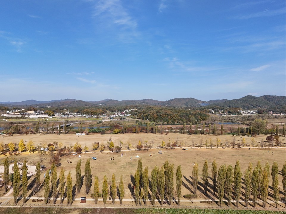 4일 오후 1시55분께 드넓은 여주 강천섬을 찾은 수많은 남녀노소 관광객들이 노랗게 변한 은행나무 길을 걸으며 즐거운 시간을 보내고 있다. (사진=김광섭 기자)