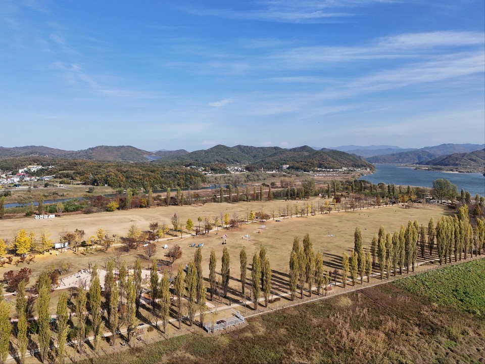 4일 오후 1시55분께 드넓은 여주 강천섬을 찾은 수많은 남녀노소 관광객들이 노랗게 변한 은행나무 길을 걸으며 즐거운 시간을 보내고 있다. (사진=김광섭 기자)