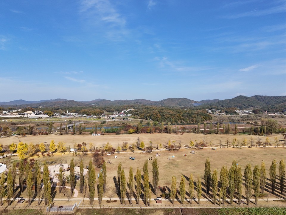 4일 오후 1시55분께 드넓은 여주 강천섬을 찾은 수많은 남녀노소 관광객들이 노랗게 변한 은행나무 길을 걸으며 즐거운 시간을 보내고 있다. (사진=김광섭 기자)