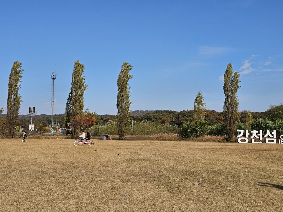 4일 오후 1시55분께 드넓은 여주 강천섬을 찾은 수많은 남녀노소 관광객들이 노랗게 변한 은행나무 길을 걸으며 즐거운 시간을 보내고 있다. (사진=김광섭 기자)