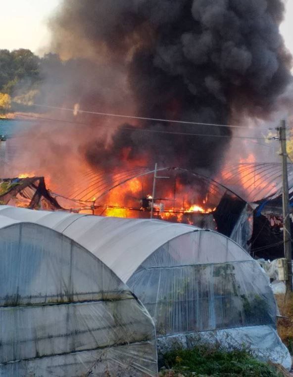6일 오전 8시16분께 안산시 상록구 장상동의 한 창고용 비닐하우스에서 불이 나 신고를 받고 출동한 소방당국에 의해 약 26분 만인 오전 8시40분께 모두 진화됐다. (사진제공=경기도소방재난본부)