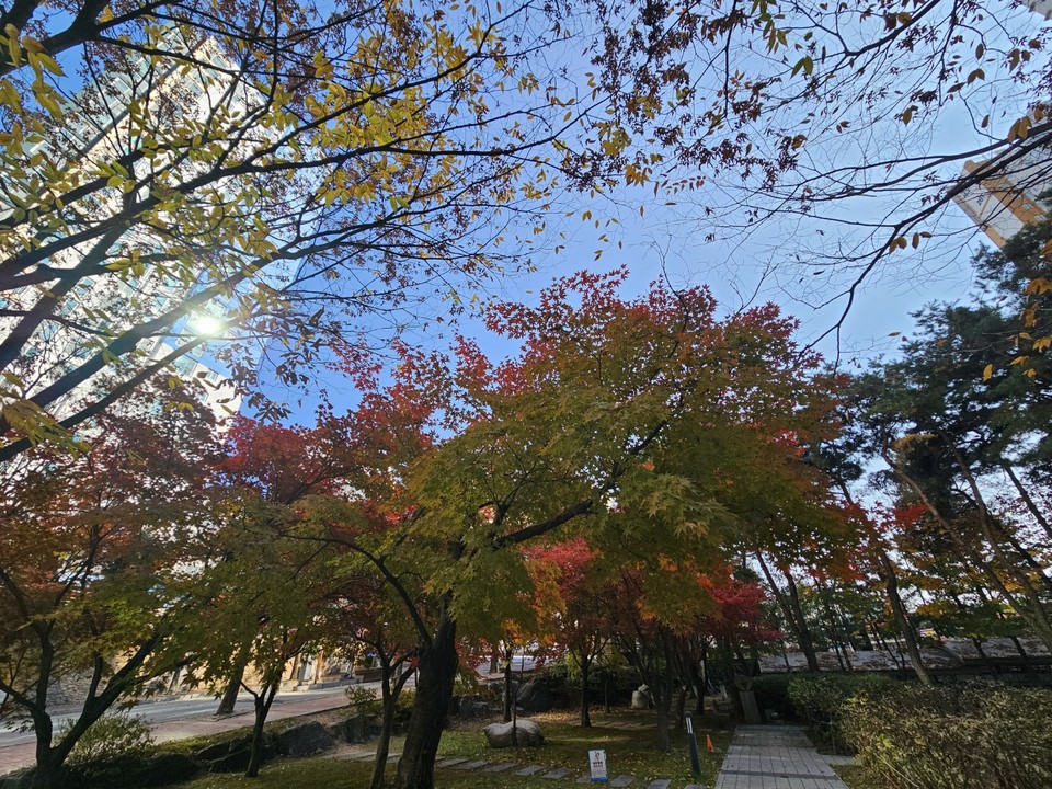 13일 수요일 경기·인천지역은 가끔 구름 많겠고 포근한 날씨를 보이겠다. 당분간 낮과 밤의 기온차도 크겠다. (사진=중앙신문DB)