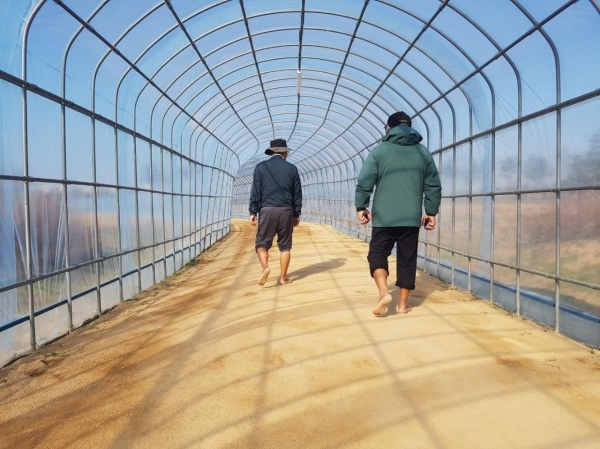 계양꽃마루 사계절 맨발산책길로 건강 챙기세요