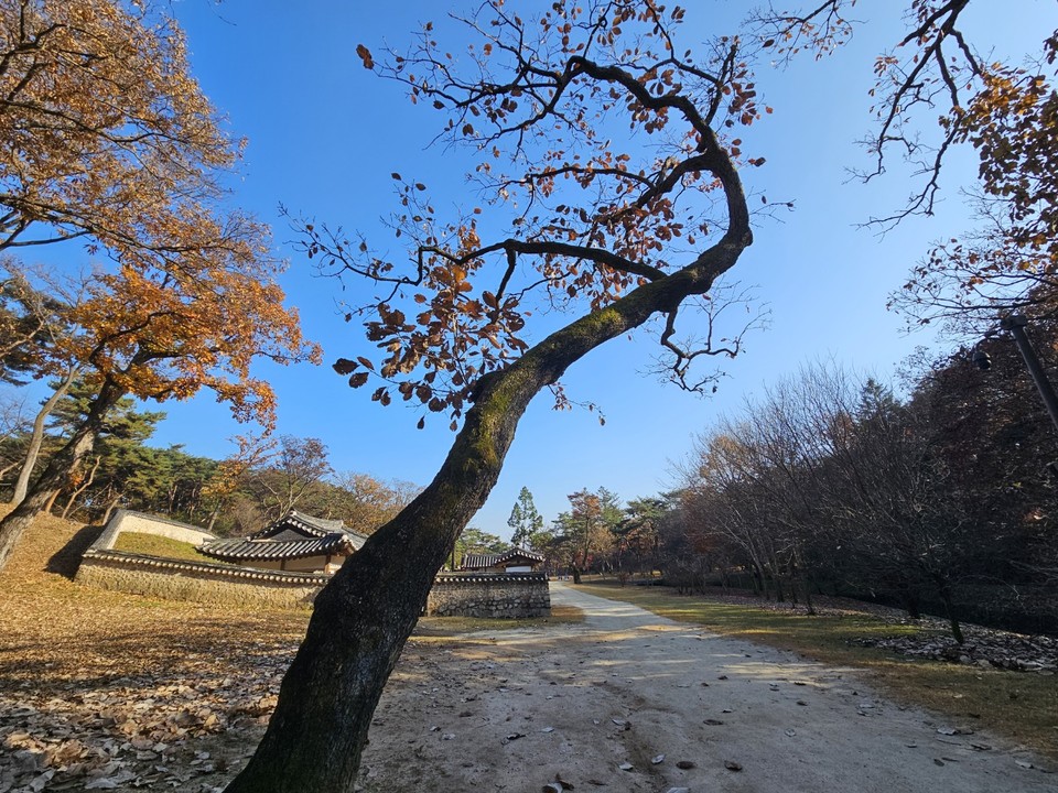 ​​​​​​​16일 토요일 수도권(경기·인천)지역은 대체로 흐리고, 낮에 인천경기북부에서 비가 시작돼 늦은 오후에는 대부분 지역으로 비가 확대되겠다.(사진=중앙신문DB)