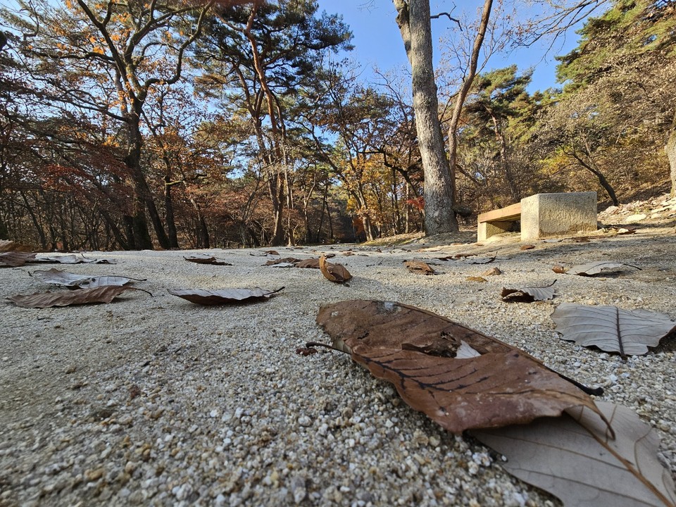 ​​​​​​​18일 월요일 수도권(경기·인천)지역은 바람이 강하게 불겠고, 대체로 맑겠다.(사진=중앙신문DB)