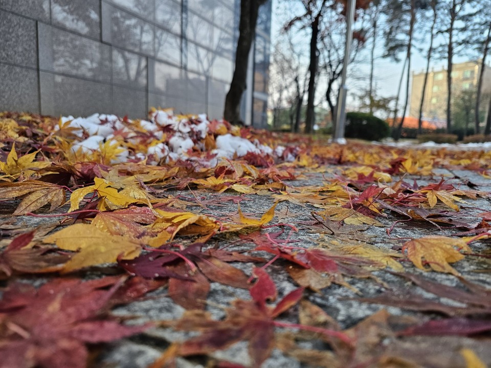 ​​​​​​​2일 월요일 수도권(경기·인천) 지역은 낮까지 곳에 따라 비가 내리겠고, 대체로 흐리다가 밤부터 맑아지겠다. (사진=중앙신문DB)