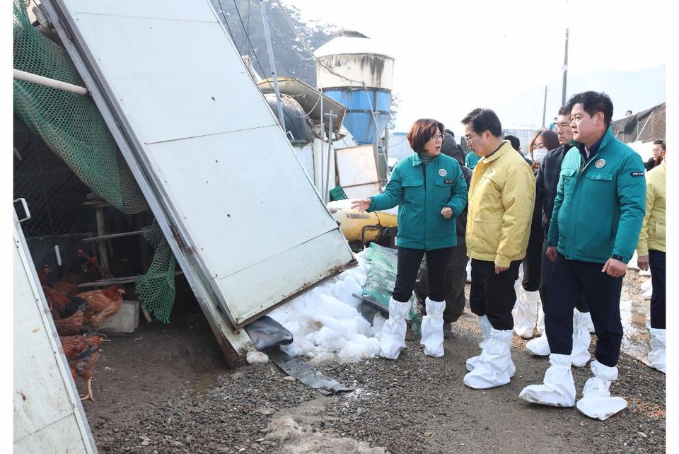 2일 오전 김동연 도지사가 김보라 안성시장 윤종근국회의원 등과 함께 양계장 대설피해지역을 현장방문해 피해현장을 확인하고 있다. (사진제공=경기도)