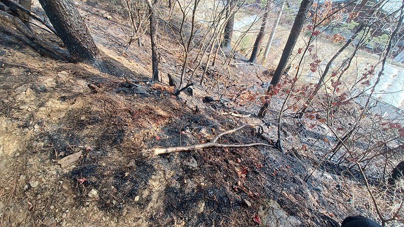 17일 낮 12시13분께 가평군 상면 행현리의 한 야산에서 불이 나 신고를 받고 출동한 산불진화대와 소방대 등에 의해 약 39분 만인 낮 12시52분께 모두 진화됐다. (사진제공=경기도북부소방재난본부)