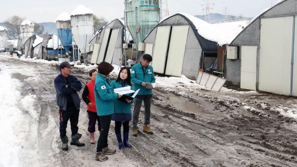 안성시가 눈덩이처럼 늘어나고 있는 폭설피해와 관련 특별재난지역선포를 건의할 계획인 것으로 확인됐다. 30일 오후 기준 안성시에 접수된 피해건수는 총 1200여 건이 넘는 것으로 알려졌다. 사진은 30일 오후 피해현장을 확인하는 김보라 안성시장. (사진=김보라 안성시장 페이스북)