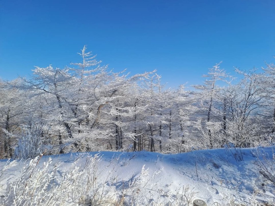 5일 오전 8시30분을 기해, 경기 부천과 김포 등 15개 시·군과 인천(옹진군 제외)에 대설주의보가 내려졌다. (사진=중앙신문DB)