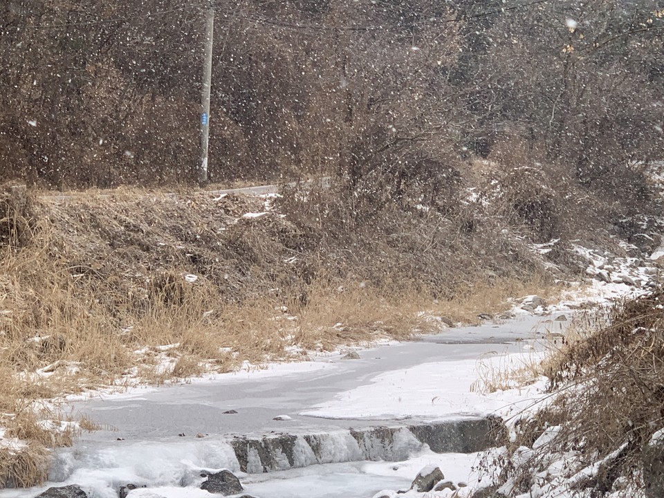 13일 오전 9시35분께 동두천시 탑동동 계곡 위로 많은 눈이 내리고 있다. (사진=오기춘 기자)
