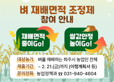 파주시, 벼 재배면적 조정제 추진…688.3헥타르 감축 목표