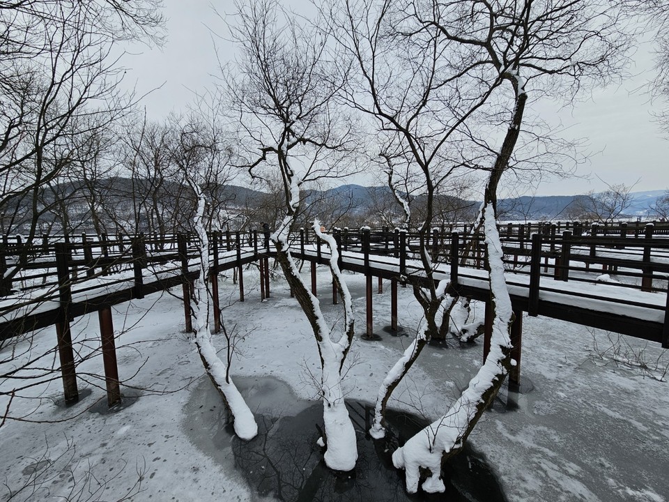 2월의 첫날인 1일 토요일 수도권(경기·인천) 지역은 대체로 흐리고, 이른 새벽 한때 경기남부(평택, 용인, 안성, 이천, 여주 등) 지역에 비 또는 눈이 내릴 것으로 예상된다. 예상 적설량과 예상 강수량은 1~5㎝, 5㎜ 미만이겠다. 사진은 전날(31일) 오후 안성 금광호수. (사진=김종대 기자)