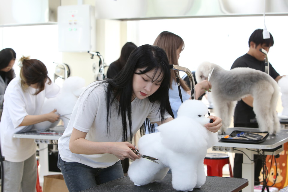 서정대 반려동물과는 반려동물 관련 분야의 선도적인 교육을 제공하기 위해 최고 수준의 교수진과 교육 시설을 갖추고 있다. 학생들은 국내에서 가장 현대화된 견사육장과 다양한 펫 관련 실습실에서 실습을 진행하며, 반려동물의 특성과 관리에 대해 심도 깊은 이론과 현장 경험을 쌓을 수 있다. (사진제공=서정대학교)
