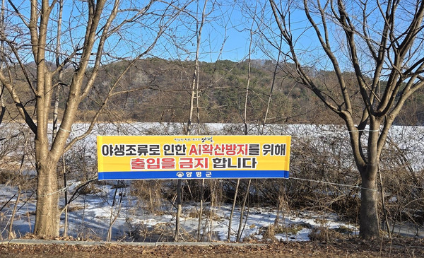 양평군 양서면 하천변에 설치된 조류인플루엔자 발생 출입금지 현수막. (사진제공=양평군)