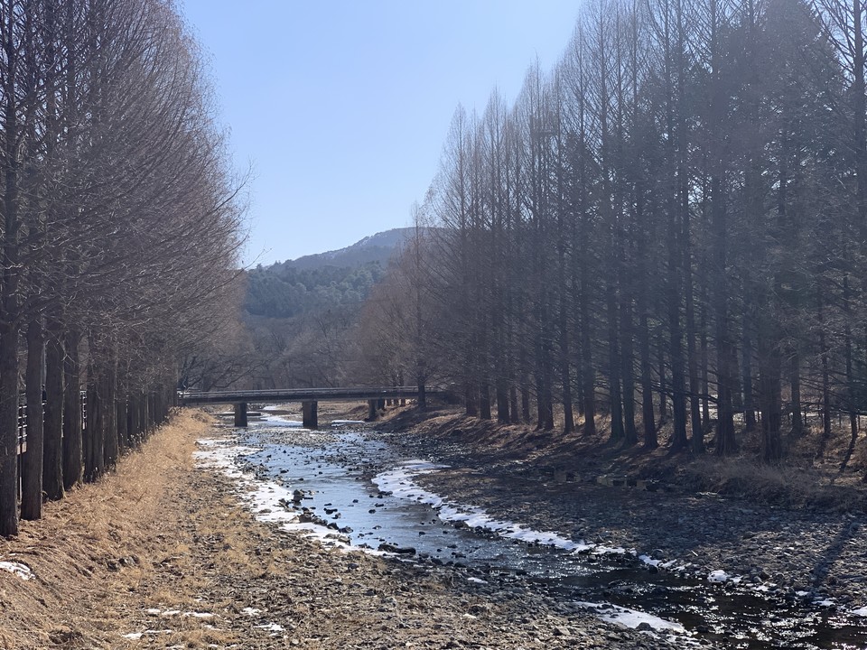 19일 수요일 수도권(경기·인천) 지역은 아침 기온이 더 내려가 전날보다 춥겠다. 바람 또한 강하게 불어 대기가 점차 건조해지겠고, 하늘은 대체로 맑은 것으로 보인다. 수도권기상청은 대기건조로 인한 산불 등 화재에 대한 유의를 당부했다. 사진은 전날(18일) 오후 2시49분께 포천 광릉수목원 인근 전경. (사진=김성운 기자)