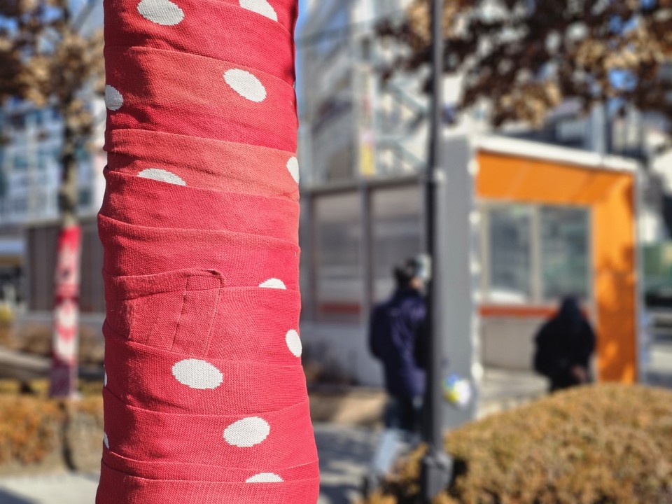 수도권지역에 건조특보와 한파특보가 발령된 19일 오전 11시14분께 이천시 부발읍 하이닉스 앞 가로수를 하이닉스 근로자들이 지나고 있다. (사진=송석원 기자)