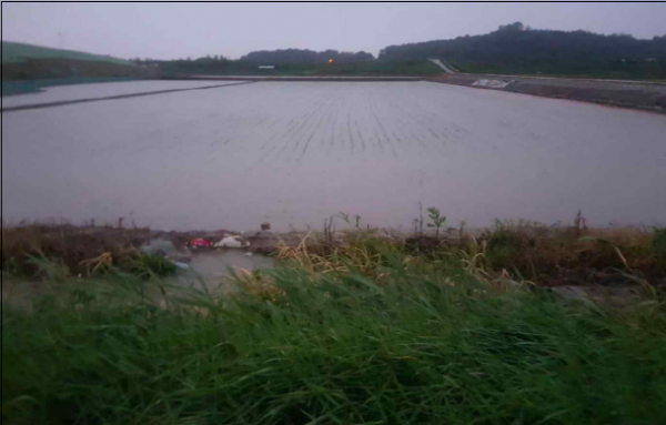 파주시, 농림축산식품부 배수개선사업 선정…국비 306억원 확보