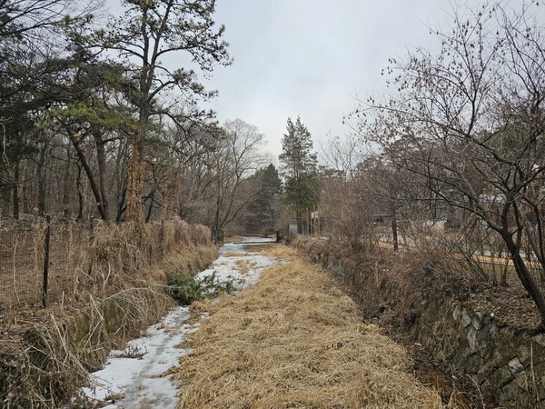 2일 오후 3시께, 구리 8경 중의 한 곳이자 유네스코 지정 세계문화유산인 동구릉 개울이 힘겨웠던 지난겨울을 보내며 새봄을 맞기 위한 얼음을 녹여 내리고 있다. (사진=이건구 기자)