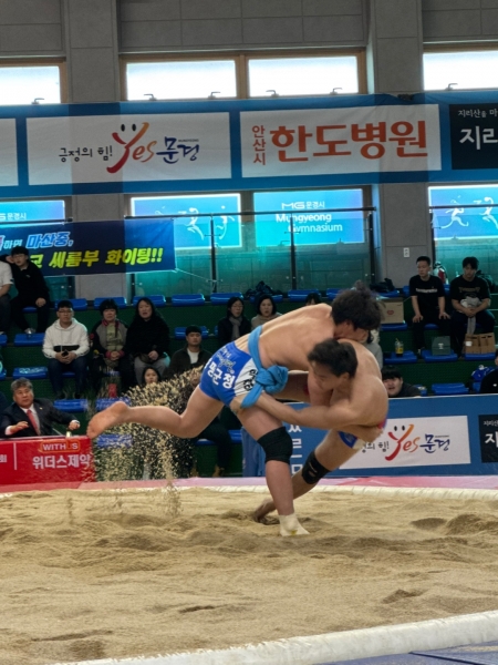 양평군청 씨름선수단, 문경 회장기 전국장사씨름대회 청장급·장사급 1위 등 쾌거