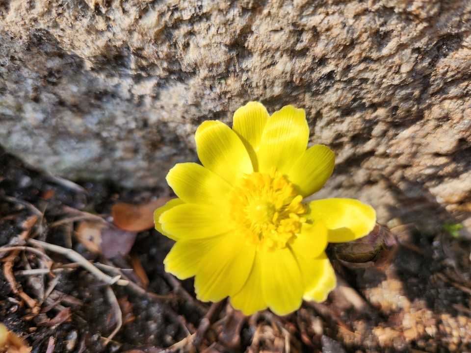 15일 토요일 수도권(경기·인천) 지역은 대체로 흐린 날씨를 보이겠다. 대기는 건조하겠고, 낮과 밤의 기온 차가 커 건강관리에 각별히 유해야 한다. 수도권지역에 내려진 기상특보나 예비특보는 없는 상태다. (사진=중앙신문DB)