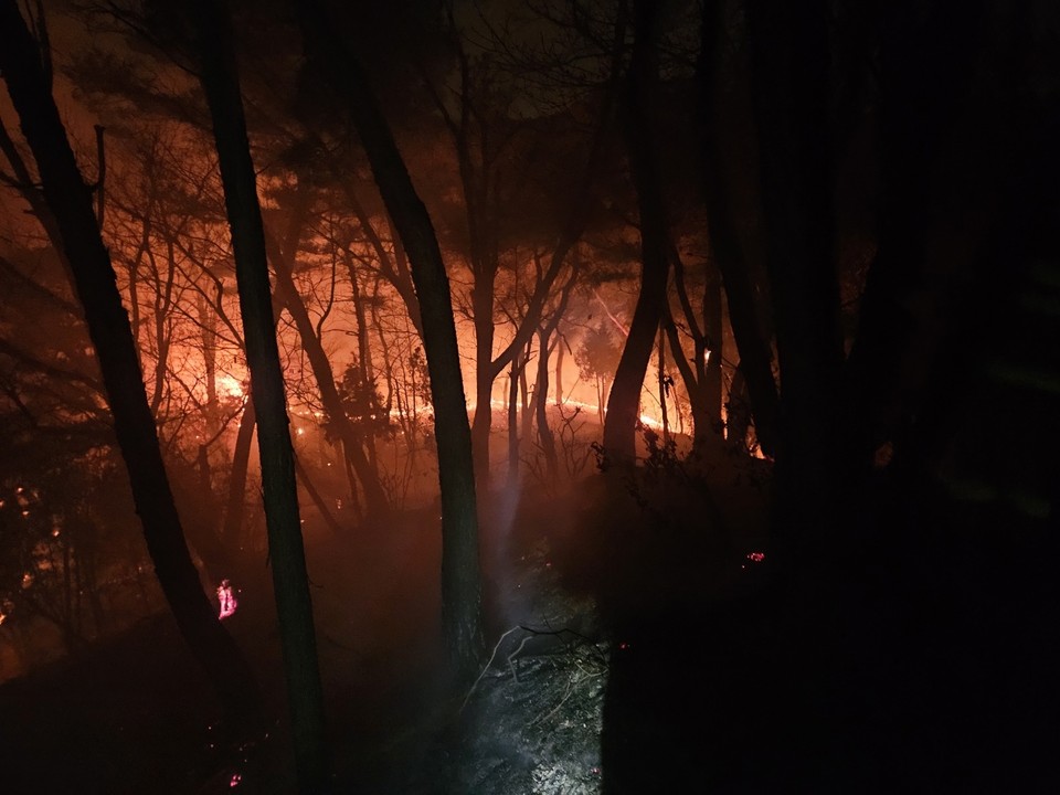 15일 새벽 2시18분께 양주시 백석읍 불곡산에서 산불이 발생해 산림 일부를 태우고 진화됐다. 이번 화재는 전날(14일) 오후 1시께 진화된 산불이 약 13시간 만에 재발화한 것으로 파악됐다. (사진제공=경기도북부소방재난본부)