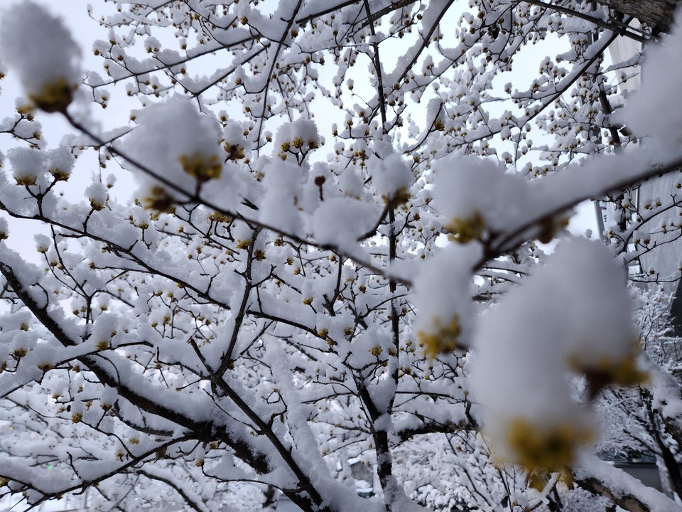 19일 수요일 수도권(경기·인천) 지역은 대체로 맑겠고, 아침 기온이 뚝 떨어지면서 반짝 꽃샘추위가 찾아오겠다. 전날 내린 눈과 비로 인한 빙판길에 유의해야 각별히 유의해야 한다. (사진=중앙신문DB)