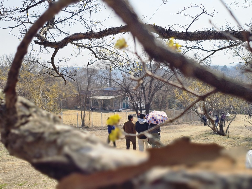 축제를 닷새 앞둔 23일 오전 11시50분께 수도권 최대 '봄꽃대첩'이라 불리는 '제26회 이천백사 산수유꽃축제장'이 이미 많은 사람들로 들썩이고 있다. (사진=송석원 기자)