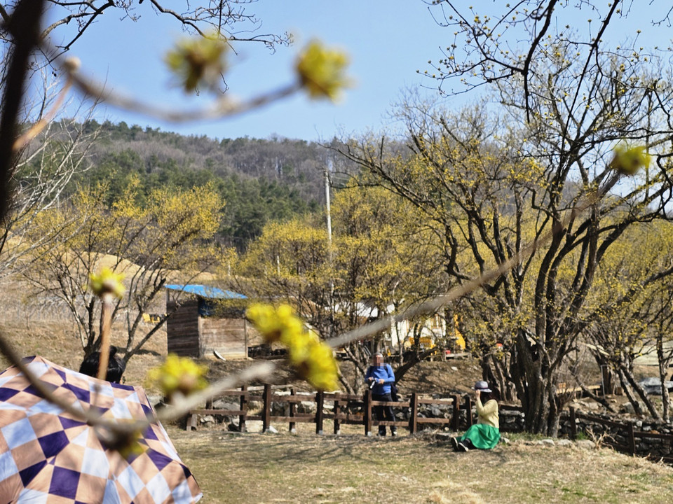 이천시가 전국적 산불재난상황이 지속되는 가운데 오는 28일부터 30일까지 예정된 제26회 이천백사산수유꽃축제 행사 중 개막식과 각종 공연 등 주요 프로그램의 취소를 결정했다. 사진은 이천시청 전경. (사진=중앙신문DB)