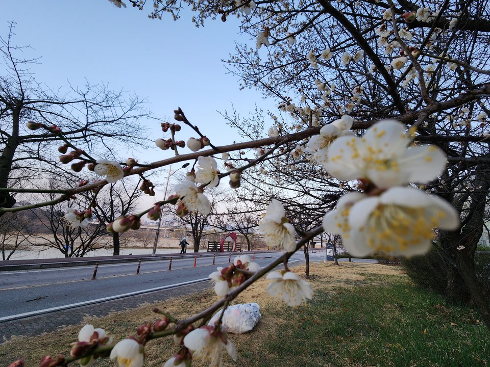 ​​​​​​​27일 목요일 수도권(경기·인천) 지역은 흐리고, 곳에 따라 오전까지 비가 내리겠다. 예상 강수량은 5~20㎜이겠다. (사진=중앙신문DB)