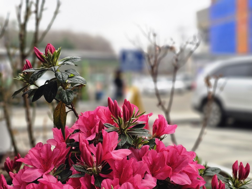 28일 금요일 수도권(경기·인천) 지역은 대체로 맑겠으나, 강풍과 풍랑에 유의해야 한다. (사진=중앙신문DB)