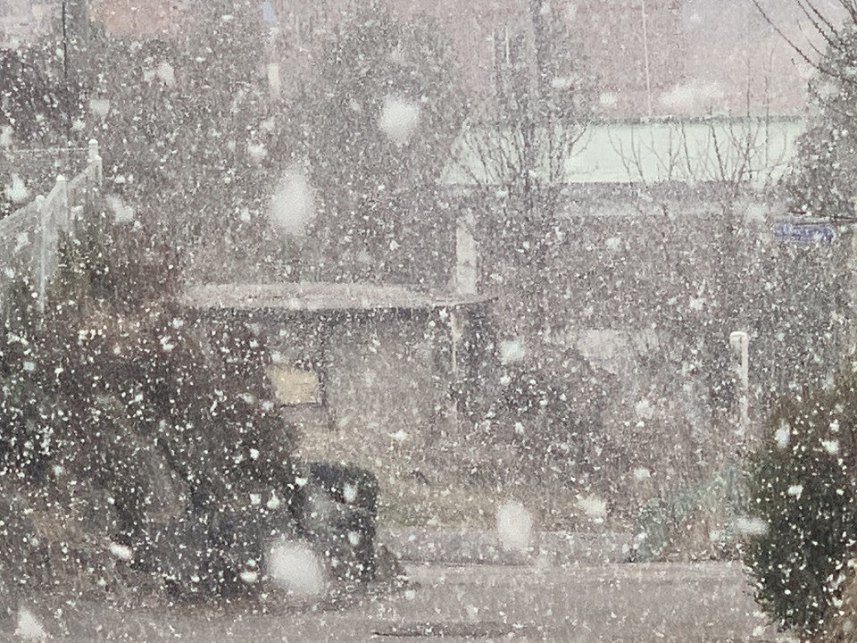 29일 오전 10시20분께 동두천시 턱거리마을에 앞이 안 보일 정도로 세찬 눈보라가 날리고 있다. (사진=오기춘 기자)