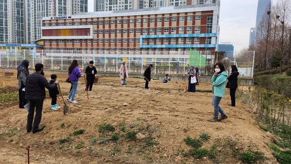 인천경제자유구역청이 송도국제도시 거주 외국인들을 위한 ‘행복텃밭 가꾸기 사업’을 본격적으로 추진한다. (사진제공=인천경제청)