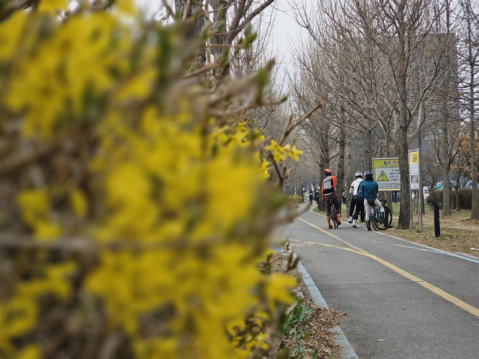 2일 오후 1시54분께 개나리꽃이 활짝 핀 여주시 하동 남한강변 자전거길을 지나던 라이더들이 잠시 휴식을 취하고 있다. (사진=김광섭 기자)