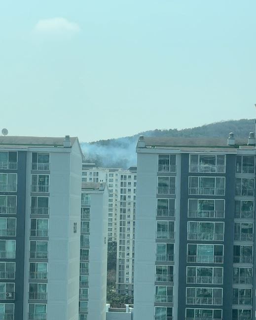 3일 오전 11시54분께 용인시 수지구 성북동 야산에서 불이 나 신고를 받고 출동한 소방당국에 의해 약 1시간 만인 낮 12시56분께 모두 진화됐다. (사진제공=경기도소방재난본부)