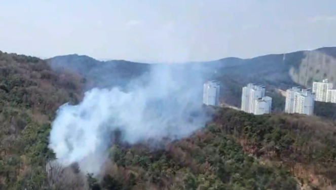 3일 오후 3시8분께 성남시 분당구 분당동의 한 야산에서 났지만, 신고를 받고 출동한 소방당국과 산불진화대에 의해 약 46분 만인 오후 3시55분께 큰 불길 잡혔다. 산불 진화 헬기 3대도 투입됐다. (사진제공=경기도소방재난본부)