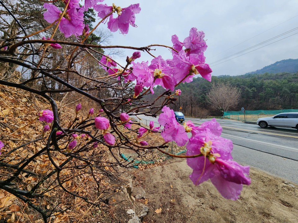 ​​​​​​​5일 토요일 수도권(경기·인천) 지역은 대체로 흐리고, 늦은 오후까지 비가 내리겠다. (사진=중앙신문DB)