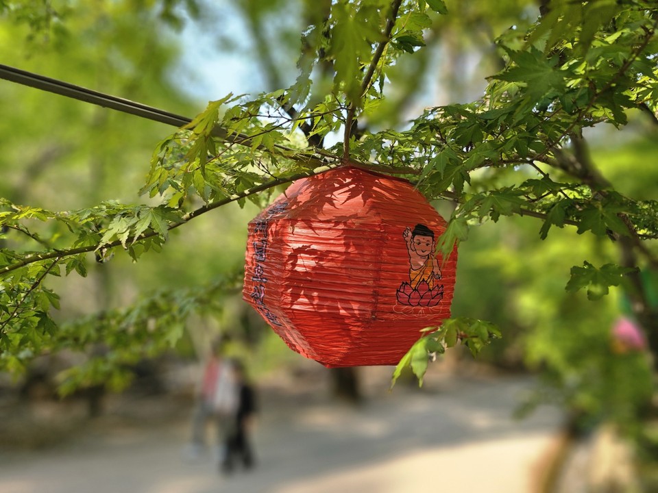 며칠 전 양평 용문산관광단지에서 사이좋게 손잡고 용문사로 오르던 여러 쌍의 노년 부부를 봤다. (사진=강상준 기자)